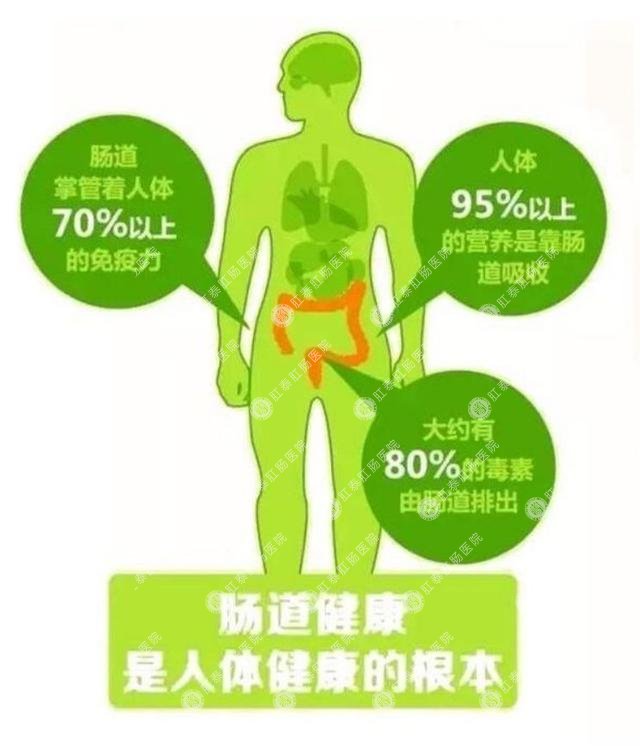 年轻人也有消化问题？关于肠道健康，你不知道的那些事